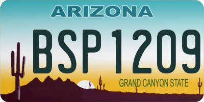 AZ license plate BSP1209