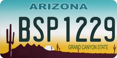 AZ license plate BSP1229