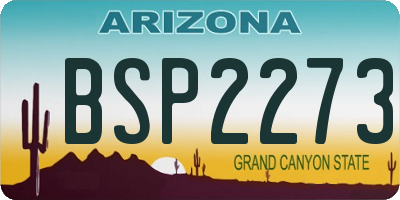 AZ license plate BSP2273