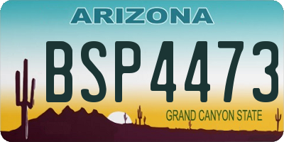 AZ license plate BSP4473