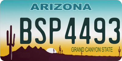 AZ license plate BSP4493