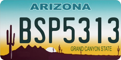 AZ license plate BSP5313