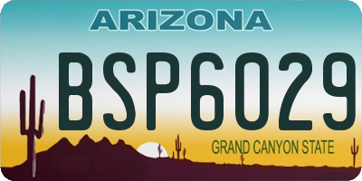 AZ license plate BSP6029