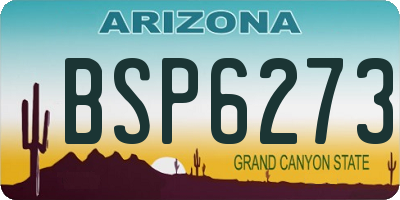AZ license plate BSP6273