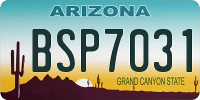 AZ license plate BSP7031