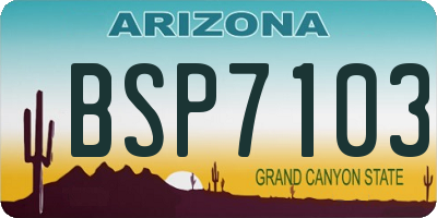 AZ license plate BSP7103