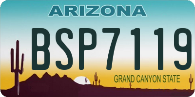 AZ license plate BSP7119