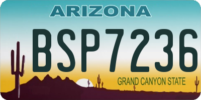 AZ license plate BSP7236