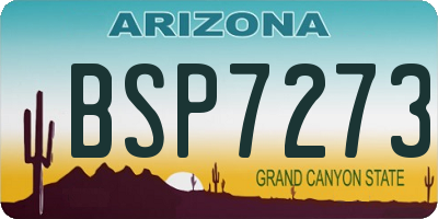 AZ license plate BSP7273