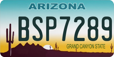 AZ license plate BSP7289
