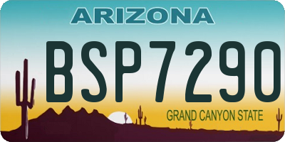 AZ license plate BSP7290