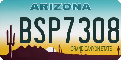 AZ license plate BSP7308