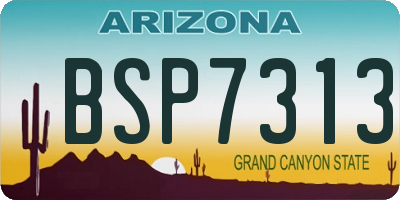 AZ license plate BSP7313