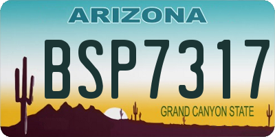 AZ license plate BSP7317