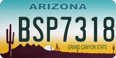 AZ license plate BSP7318