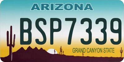 AZ license plate BSP7339