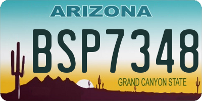 AZ license plate BSP7348