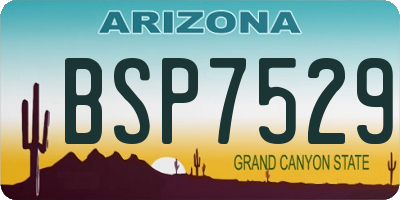 AZ license plate BSP7529