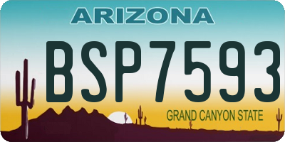 AZ license plate BSP7593