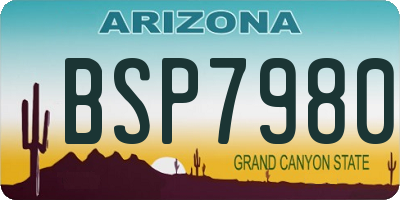 AZ license plate BSP7980