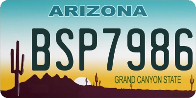 AZ license plate BSP7986