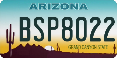 AZ license plate BSP8022