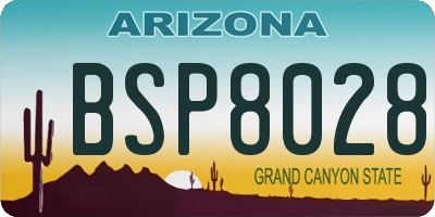 AZ license plate BSP8028