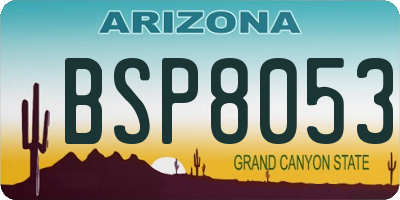 AZ license plate BSP8053