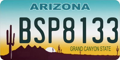 AZ license plate BSP8133