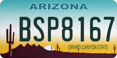 AZ license plate BSP8167