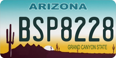 AZ license plate BSP8228