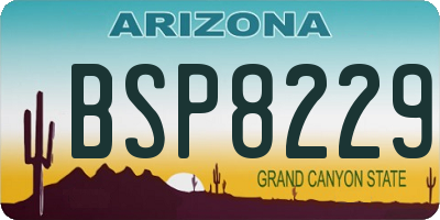 AZ license plate BSP8229