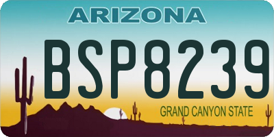 AZ license plate BSP8239
