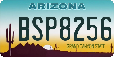 AZ license plate BSP8256