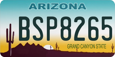 AZ license plate BSP8265