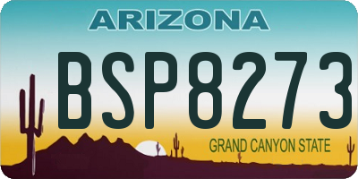 AZ license plate BSP8273