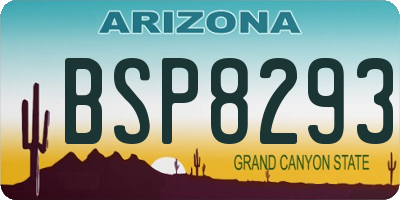 AZ license plate BSP8293