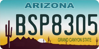 AZ license plate BSP8305