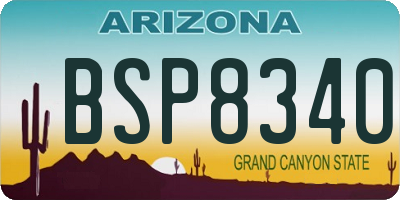 AZ license plate BSP8340