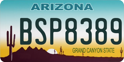 AZ license plate BSP8389