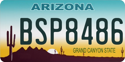 AZ license plate BSP8486