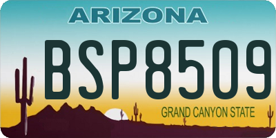 AZ license plate BSP8509