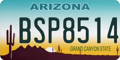 AZ license plate BSP8514