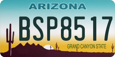 AZ license plate BSP8517