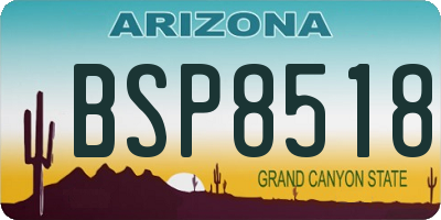 AZ license plate BSP8518