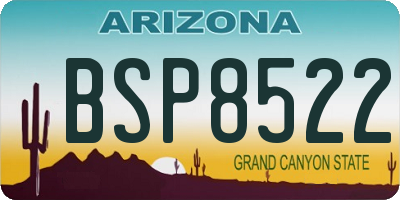 AZ license plate BSP8522