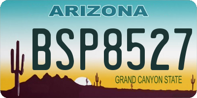 AZ license plate BSP8527