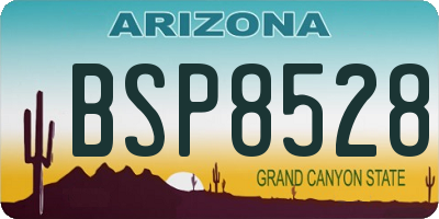 AZ license plate BSP8528