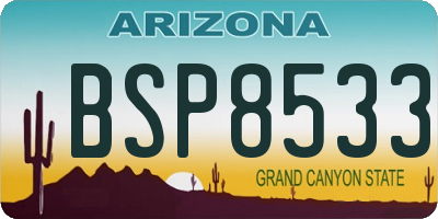 AZ license plate BSP8533