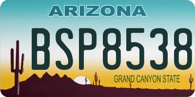 AZ license plate BSP8538